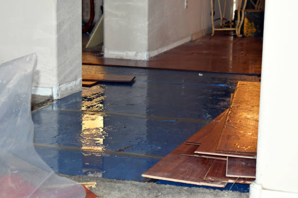 Professional Burst Pipe Cleanup technician working in Hope, MI